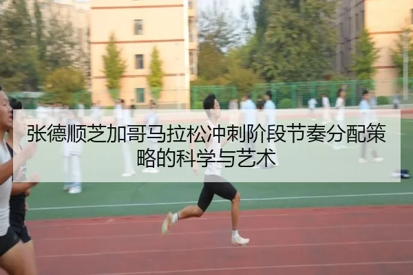 zhang-de-shun-zhi-jia-ge-ma-la-song-chong-ci-jie-duan-jie-zou-fen-pei-ce-lve-de-ke-xue-yu-yi-shu-3-495.jpg